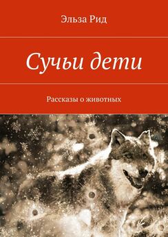 Дмитрий Коробков - Рассказы о животных