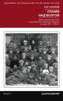 Михаил Тарасов - Енисейское казачество в годы революции и гражданской войны. 1917-1922