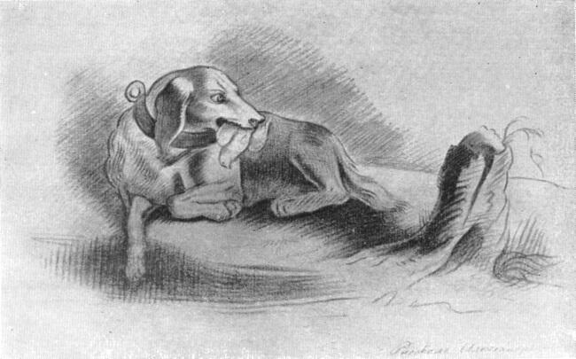 Рис 6 Собака с птичкой в зубах Лицейский рисунок А Пушкина В доме на - фото 9