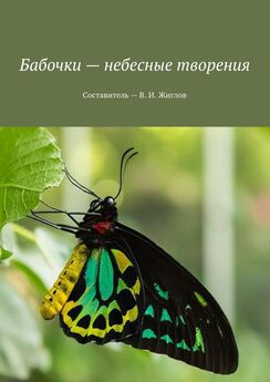 В. Жиглов - Бабочки – небесные творения