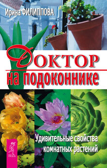Ю. Николаева - Домашний доктор на подоконнике. От всех болезней