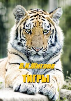 В. Жиглов - Тигры