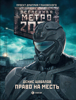 Шамиль Алтамиров - Метро 2033: Степной дракон