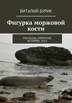 Виталий Бурик - Фигурка моржовой кости. Рассказы, короткие истории, эссе