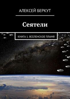 Алексей Беркут - Сеятели. Книга 1. Вселенское пламя
