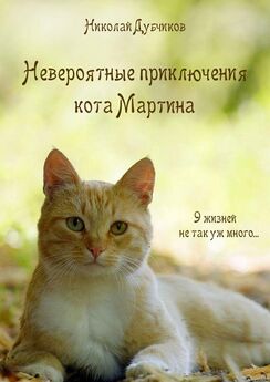 Николай Дубчиков - Невероятные приключения кота Мартина