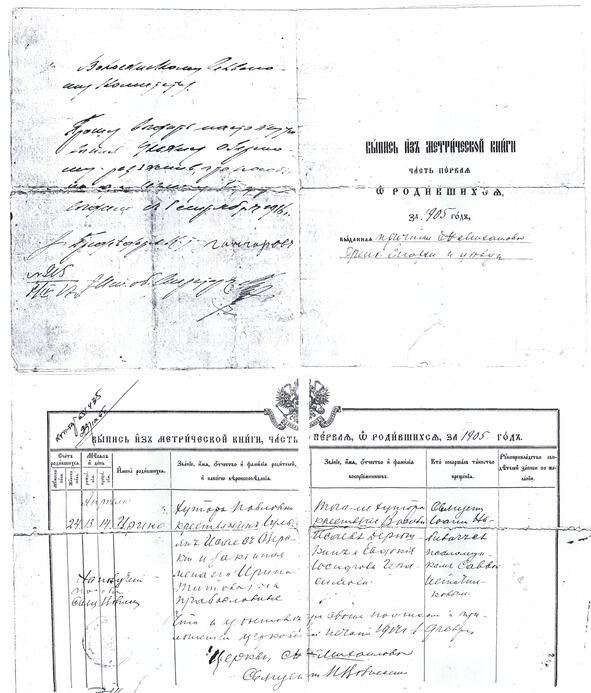 Метрическая выпись о рождении Ирины Титовны за 1905 год Озеро Соленое близ с - фото 2