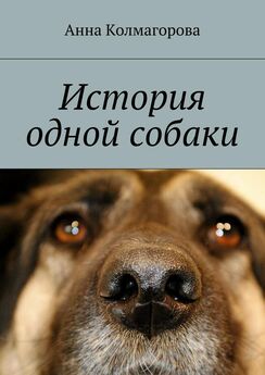Виктория Казарина - Любовь к каждой собаке