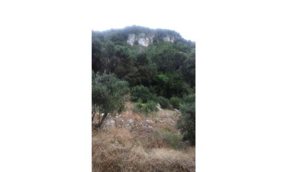 От Agios Gordios дорога ведет в Pentati а потом дальше через гору и лес вниз к - фото 17