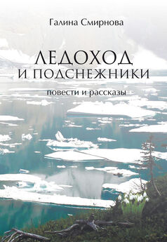 Анвар Халилулаев - Разбитый термос и задыхающийся вопль (сборник)