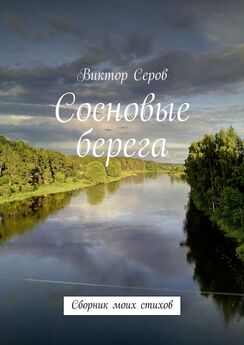 Сергей Виноградов - Дорога в бесконечность. Стихи и проза