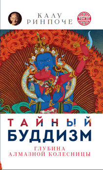 Лама Сопа Ринпоче - Абсолютное исцеление. Духовное целительство в тибетском буддизме