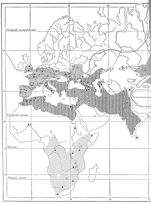 Очертания материка Европы в раннем плейстоцене Всемирная история т I - фото 2