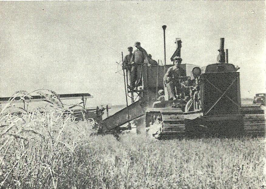 1939 г Уборка пшеницы в колхозе Тыл в Великой Отечественной войне Воен - фото 2