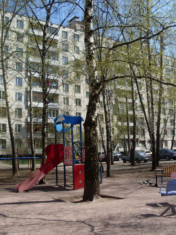 Дворик маленький в Москве Три берёзы во дворе Лужа в центре до колен - фото 1