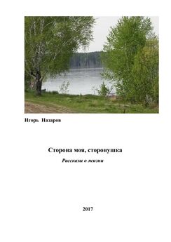 Ирина Шаманаева - Странный век Фредерика Декарта
