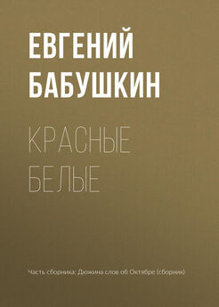 Евгений Бабушкин - Библия бедных
