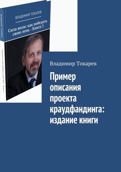 Владимир Токарев - Пример описания проекта краудфандинга: издание книги