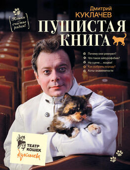 Ирина Шишигина - Корма для кошек