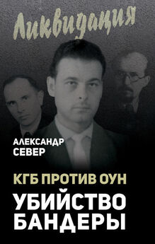 Александр Широкорад - Битва за Украину. От Переяславской рады до наших дней