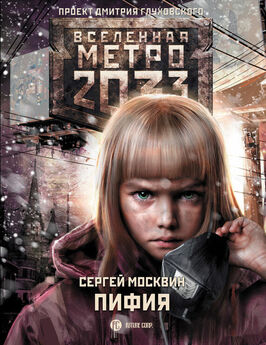 Павел Макаров - Метро 2033: Перекрестки судьбы