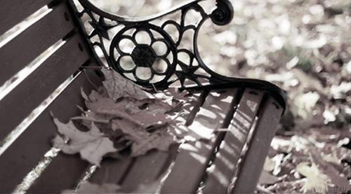 Прохладным осенним днем на скамейке среди жёлтой листвы возле одного - фото 1