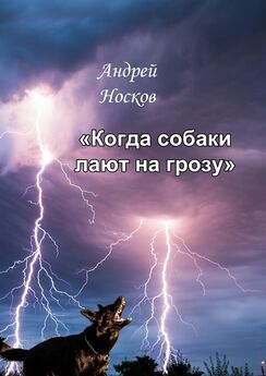 Андрей Носков - Когда собаки лают на грозу. Тонкие детали должны быть замечены