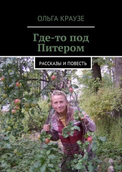 Ольга Краузе - Катькин сад. Повесть
