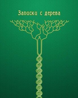 Сергей Нагорный - Душа абрикосового дерева – 2