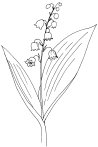 Цветок как бубенчик Беленький венчик Лопух Растение видное А прозвище - фото 18