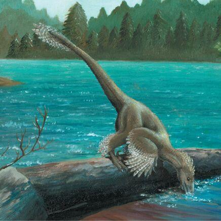 Поразительные окаменелости говорят что некоторые динозавры например - фото 4