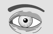Знак ума Если внешний уголок глаза угол вблизи виска длинный и острый то - фото 13
