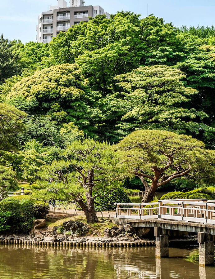 Парк СиндзюкуГёэн расположен в самом сердце Токио Лесные ванны стимулируют - фото 32