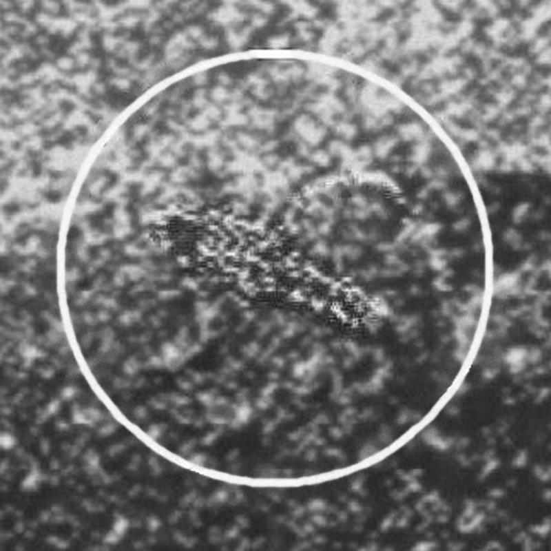 Фрагмент фотографии поверхности Венеры на котором исследователи видят некое - фото 2